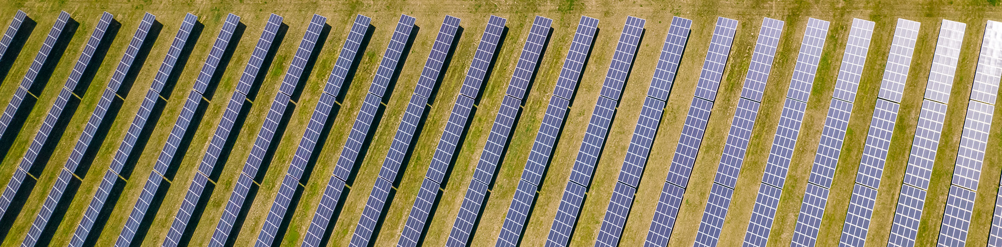 golf course aerial image